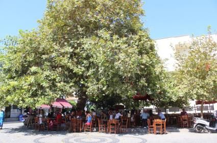 Ren ve Mosel Nehri - Gemi ile Seyahat - Romantik Ren (11. Bölüm)