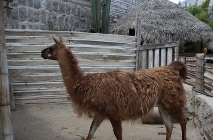 Belgrad Notları 1: Belgrad&#039;da Osmanlı İzleri 