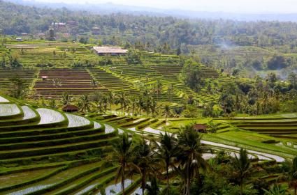 Tanrıların Adası: Bali  Tanrıların Adası: Bali