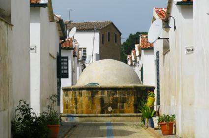 Yavru Vatan Kıbrıs Aşkı 