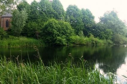 Doğa ve Huzur Bir Arada: Thee Tuin 