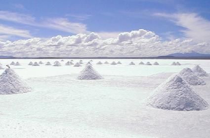 Şereflikoçhisar Gezisi 