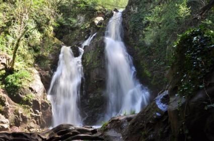 Alaçam Şelalesi ve Kanyonu 