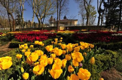 Beykoz Korusu Sosyal Tesisleri 