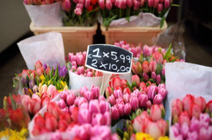 Amsterdam Çiçek Pazarı 