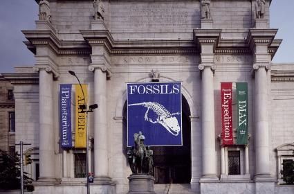 Amerikan Doğa Tarihi Müzesi 