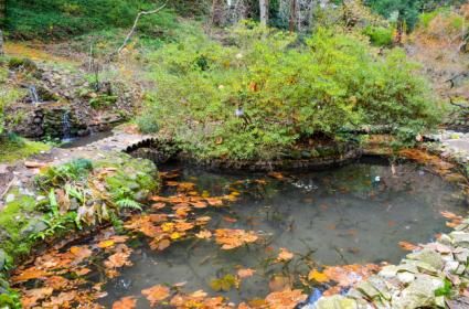 Batum Botanik Bahçesi 