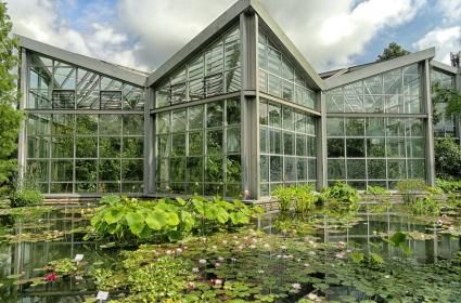 Palmengarten Botanik Bahçesi 