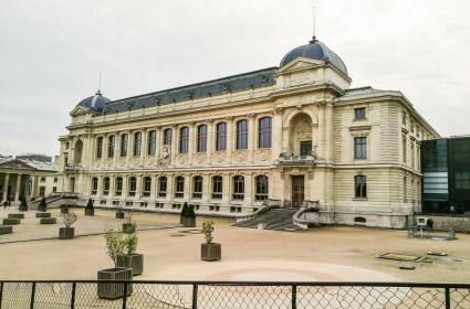 Paris Ulusal Doğa Tarihi Müzesi (Muséum National D'histoire Natürelle) 