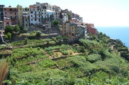 Riomaggiore Riomaggiore