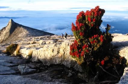 Danum Vadisi Danum Vadisi