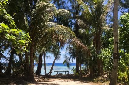 Güney Guam