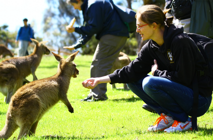 Freycinet National Park (Freycinet Ulusal Parkı)
