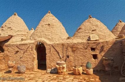 Harran Üniversitesi