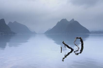 Longji Terraced Fields