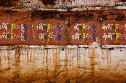 Resmi dili Dzongka olan ülke hangisidir? 