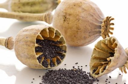 Dünyada en çok afyon üreten ülke hangisidir? 