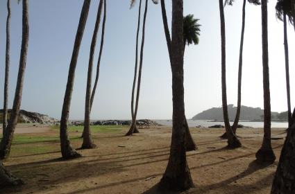 Fransız Guyanası Fransız Guyanası