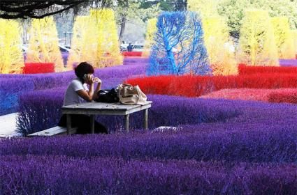 Dünyanın En Renkli Kampüsüyle Tanışın 