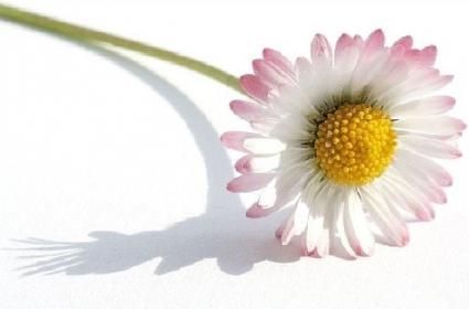 Ülkeler ve Batıl İnançları 