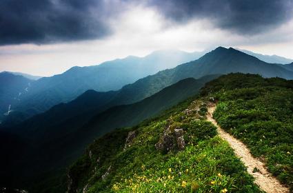 Güney Kore&#039;de Görmeniz Gereken En Güzel Parklar 