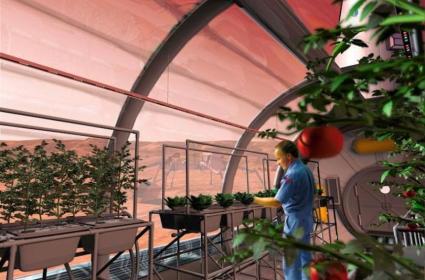 Astronotlar İlk Defa Yetiştirdikleri Gerçek Sebzeleri Yediler 