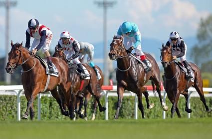 Asırlık Geleneğin Ev Sahibi: 91. Gazi Koşusu ve Veliefendi  Asırlık Geleneğin Ev Sahibi: 91. Gazi Koşusu ve Veliefendi