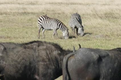 İlginç Seyahat Rotaları Bölüm 1: Nereye Neden Seyahat Ediyoruz? 
