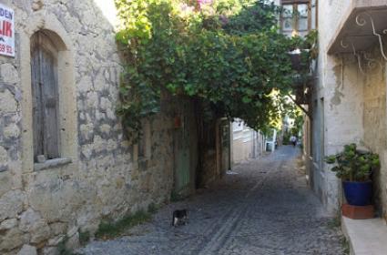 Suyun Öbür Yakasındakiler 