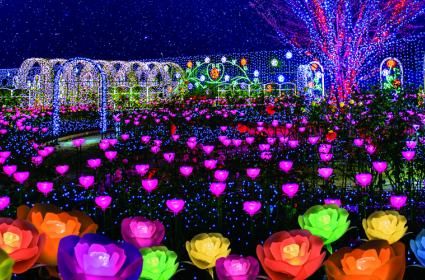 Japonya'nın Kış Işıklandırmaları  Japonya'nın Kış Işıklandırmaları