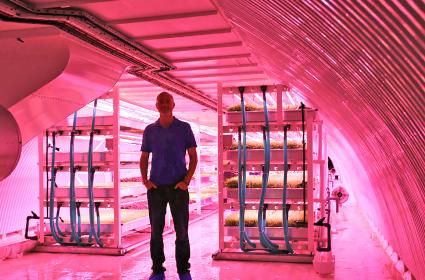 Londra&#039;nın Yeraltı Çiftliği 