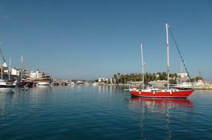 Mavi Turda Nelere Dikkat Etmeli? 