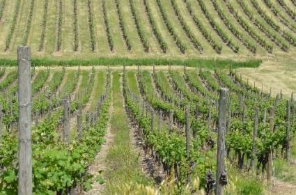 İlginç Seyahat Rotaları Bölüm 3: Yurt Dışı Gurme Turları 