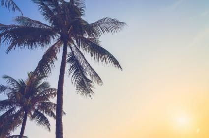 Amerika Birleşik Devletleri'nde Mutlaka Görmeniz Gereken Şehirler  Amerika Birleşik Devletleri'nde Mutlaka Görmeniz Gereken Şehirler