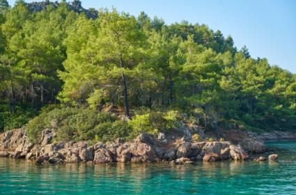 Ege Kıyıları Tatil Rehberi 