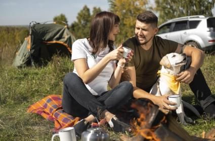 Patili Oteller: Bodrum&#039;da Evcil Hayvan Kabul Eden Oteller 