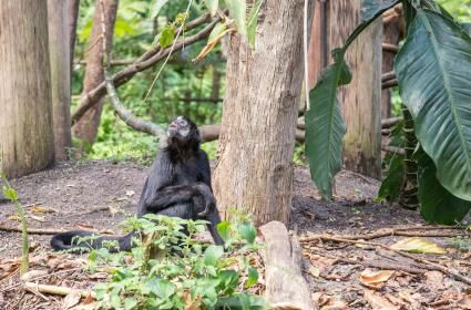Ülkelerden Dünya Mirasları 6 