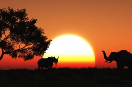 Safari Yapılacak En Güzel Yerler 