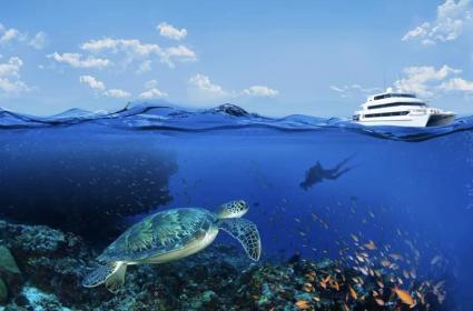 Maldivler'de Kış Yolculuğu  Maldivler'de Kış Yolculuğu