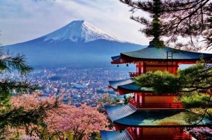 Ekin Başalp: “Tokyo, düzen imparatorluğunun başkenti olsa da araya serpiştirilmiş ufak kaosların ve yaramazlıkların hayata esas rengini verdiği bir şehir” 