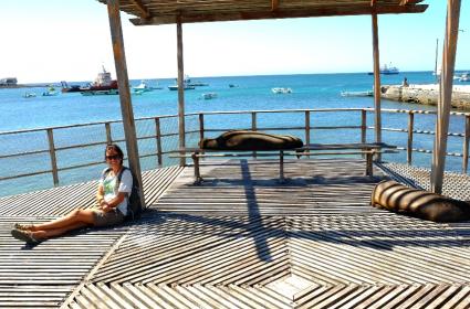 Semanur Aksoy: &quot;Her seyahatten dönüşümde değişimi keşfederim kendimde&quot; 