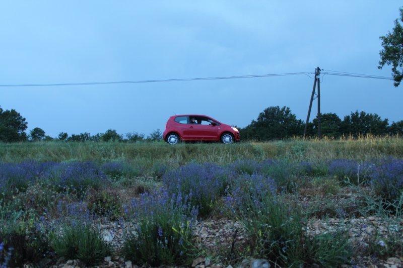 Luberon-16