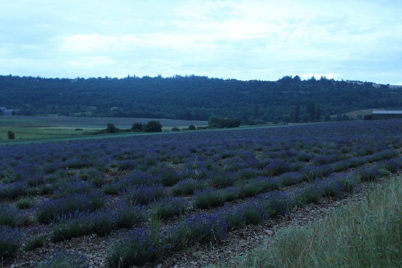 Luberon-17