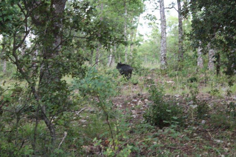 Luberon-19