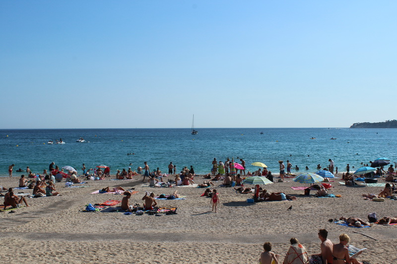 Cassis-1