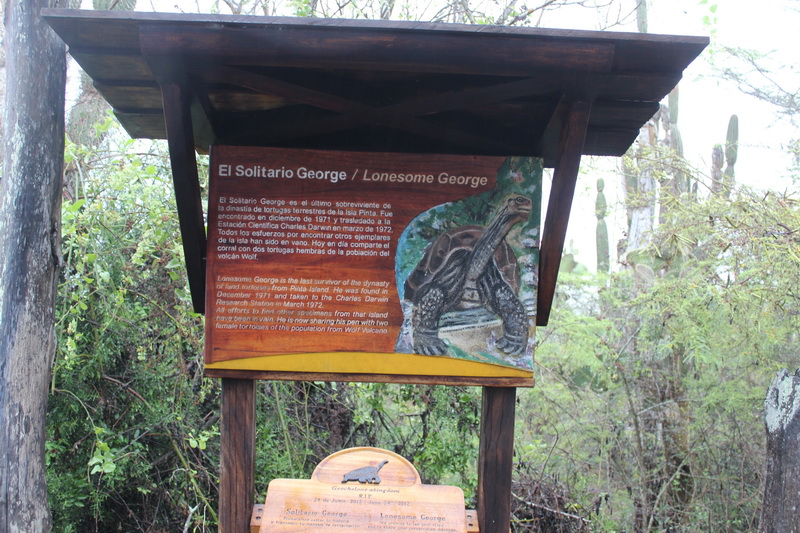 Galapagos Adaları-7