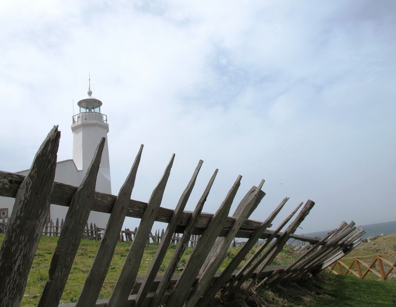 Sinop-9