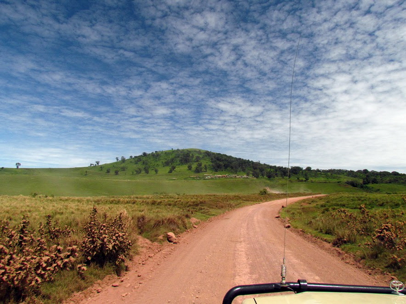 Serengeti-9