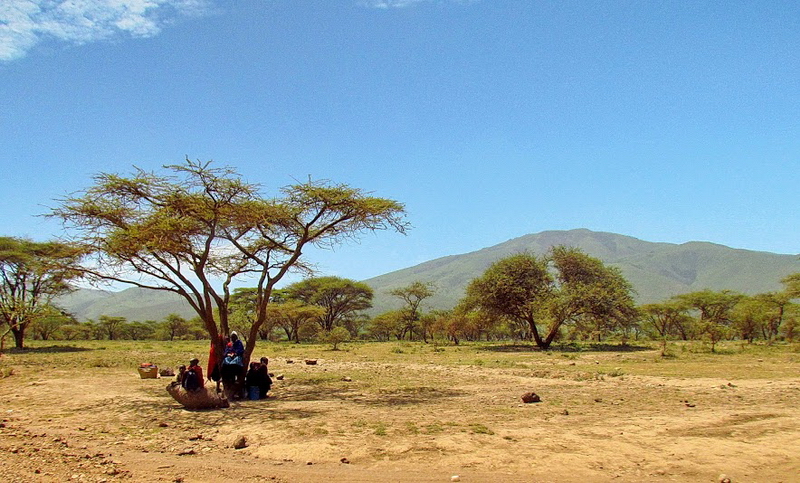 Serengeti-3