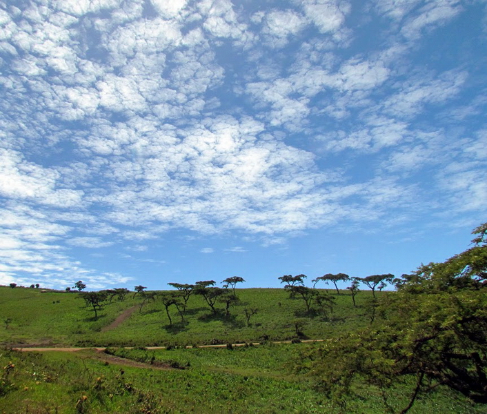 Serengeti-7